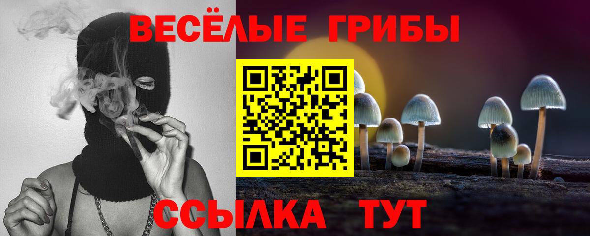 Саранск  Псилоцибиновые грибы мухоморы  Вход с VPN 