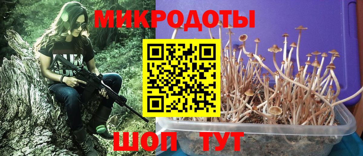 Псилоцибиновые грибы мицелий Саранск